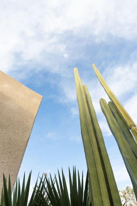 Desert Princess Villa Palm Springs Area Cathedral City Exterior photo