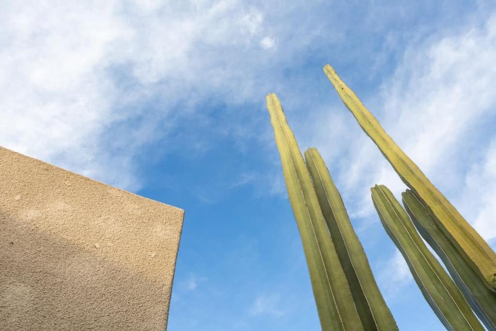 Desert Princess Villa Palm Springs Area Cathedral City Exterior photo